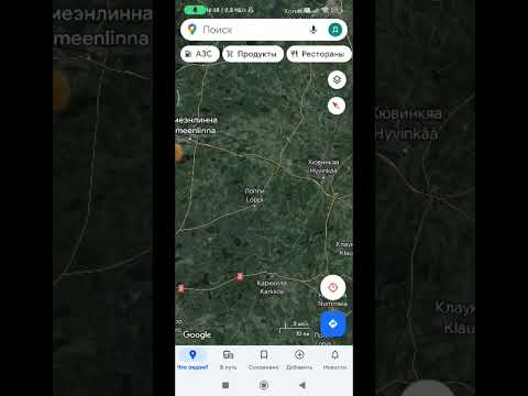 Фанаты My Summer