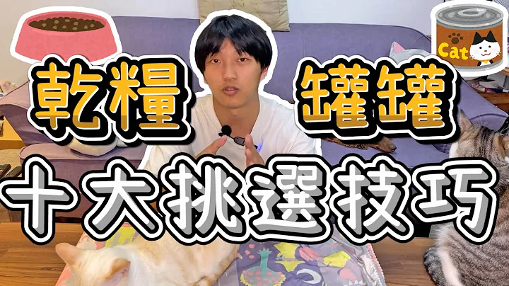 十大猫饲料、罐头挑选重点，教你快速过滤掉不好的选择【疯宠压缩档EP6】 - 天天要闻