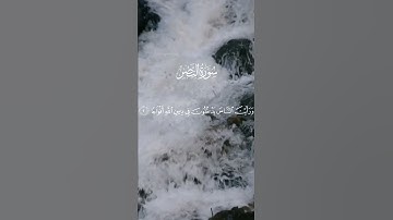 سورة النصر بصوت يريح القلوب للقارئ الشيخ فارس عباد