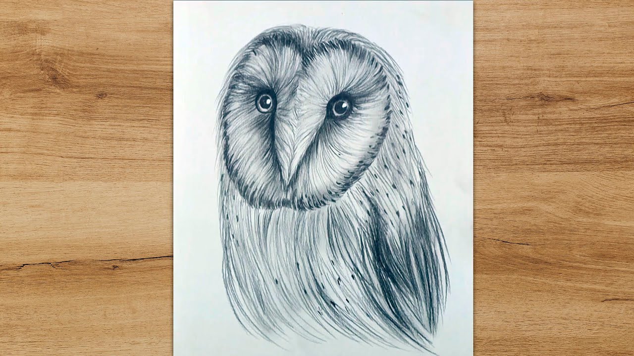 How to Draw an Owl Easy With Pencil | Drawing Tutorial step by step ...