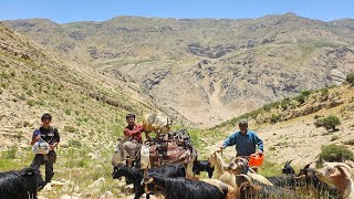 Real Nomadic Life: Herding Goats, Traditional Cooking &amp; Carrying Firewood in Dangerous Mountains**