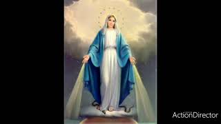 AVE MARIA - GOUNOD/ BACH  (INSTRUMENTAL)