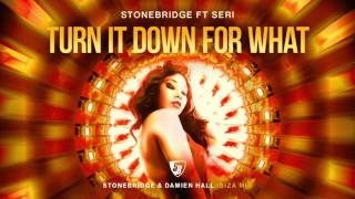 Video thumbnail of "StoneBridge ft Seri - Turn It Down For What (StoneBridge & Damien Hall Ibiza Radio)"