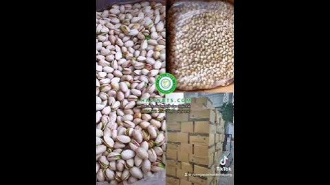 Công dụng của hạt dẻ cười mà ít ai biết tới…