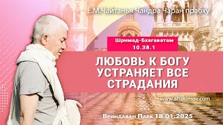 : 18/01/2025,  10.38.1,       -    
