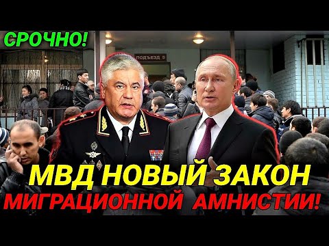 МВД разрабатывает закон о миграционной амнистии