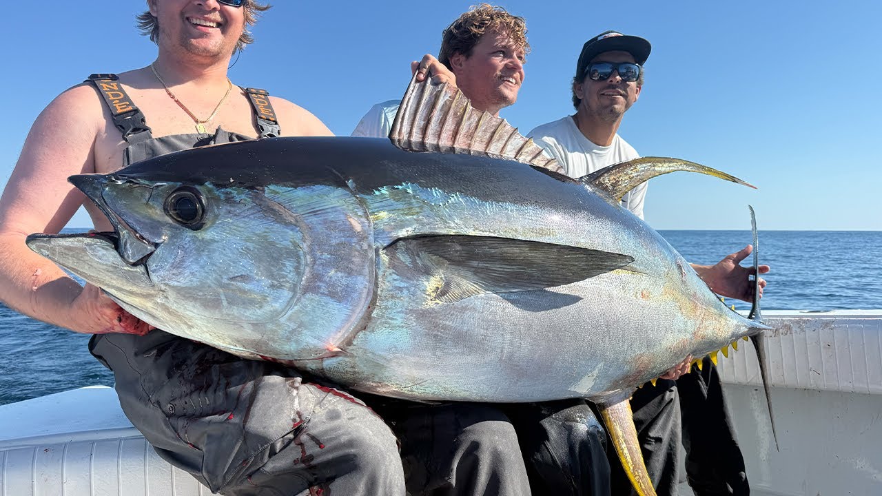I LOVE CATCHING BIG TUNAS (Bonus White Marlin on Popper)