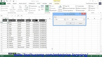 Microsoft Office Excel Tutorial 2013 Using Autofilters 22.2 Employee Group Training