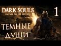 Прохождение Dark Souls Prepare To Die Edition — Часть 1: ТЕМНЫЕ ДУШИ