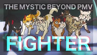 ✖ FIGHTER ✖ [ The Mystic Beyond PMV ] - Poppyclans Bloom