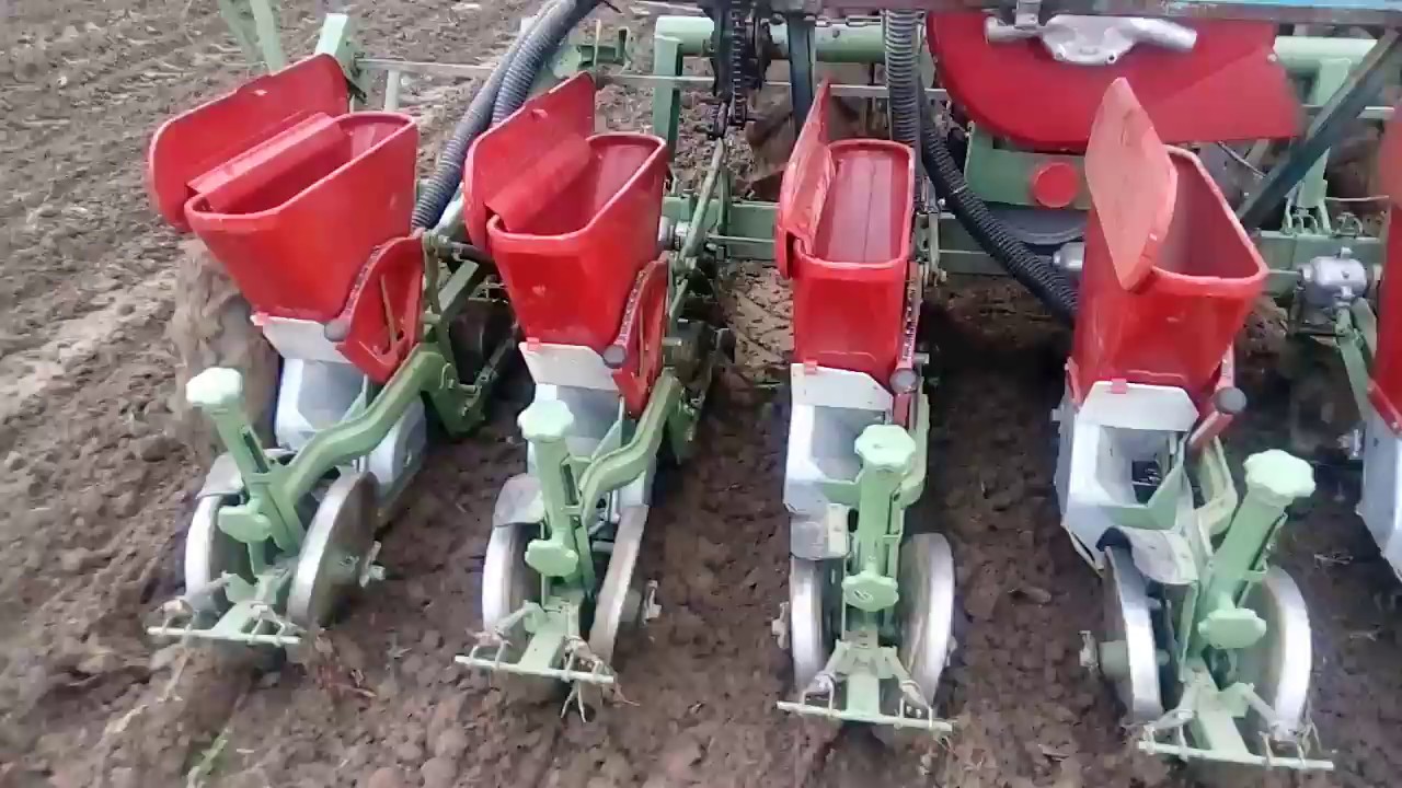 Przesiewanie buraka pastewnego i test siewnika Nodet