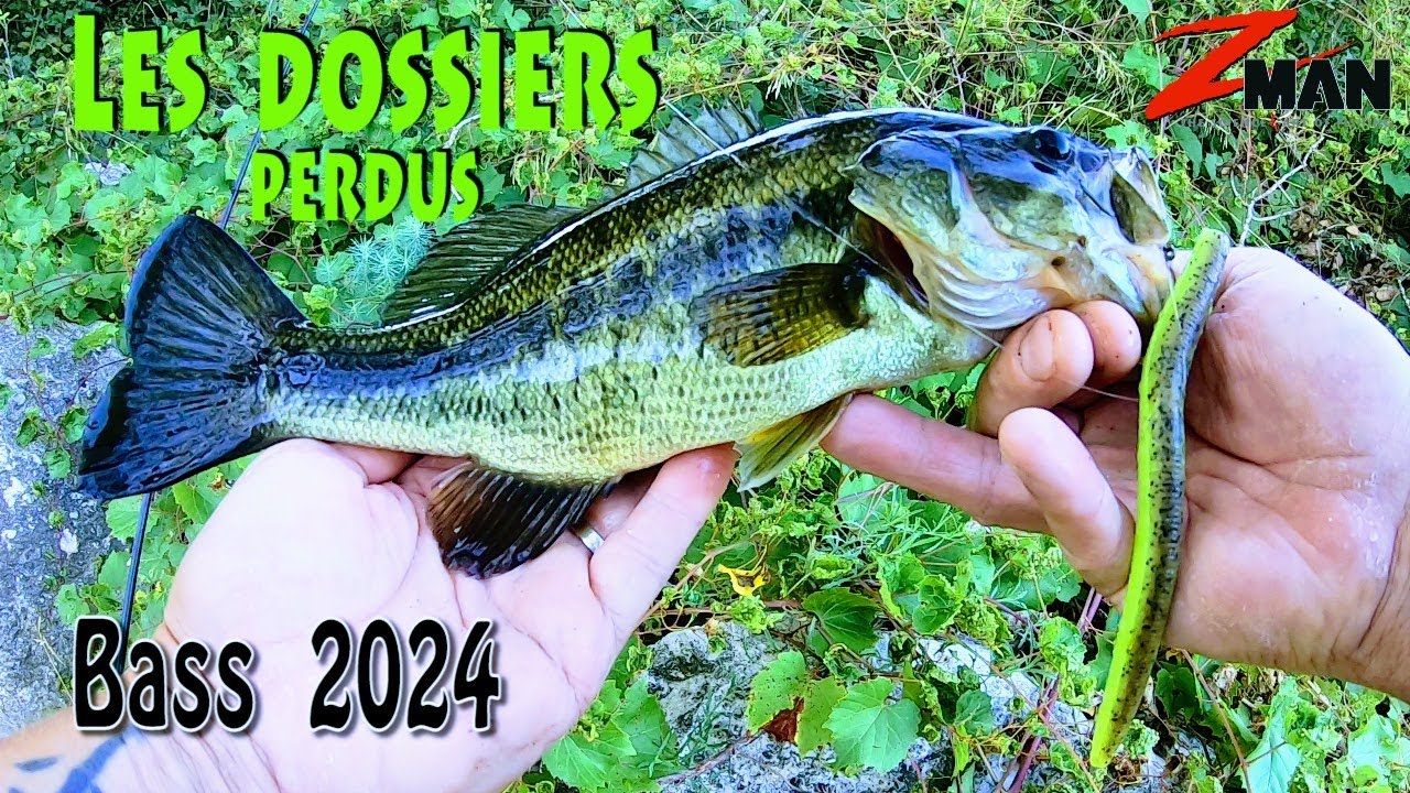 LES GROS DOSSIERS de BASS PERDUS DANS MON PC !