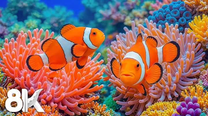 Aquarium Paradise 8K – Beautiful Reef Fish & Soft Ocean Sounds for Restful Sleep