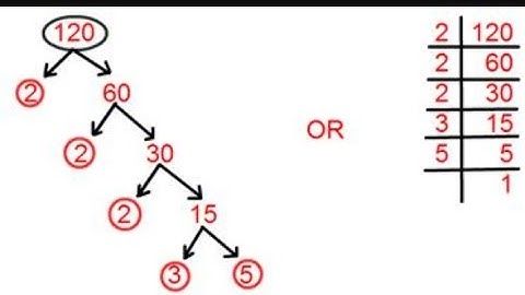 Factor Tree Of 120|Prime Factorization Of 120