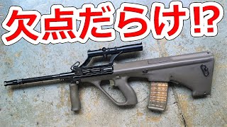 【残念】ブルパップが浸透しなかった3つの理由【NHG】実銃解説