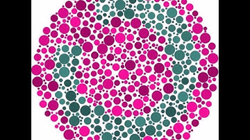 Color blind test as a color blind people see