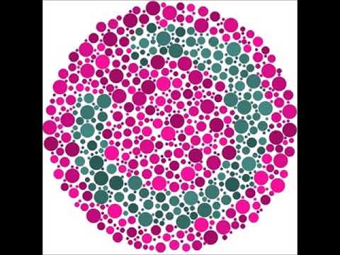 Color blind test as a color blind people see