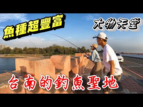 台南的釣魚聖地！獨特的橋上釣魚！魚種超豐富～結尾有彩蛋 #四草大橋 ‪@阿中釣魚趣‬