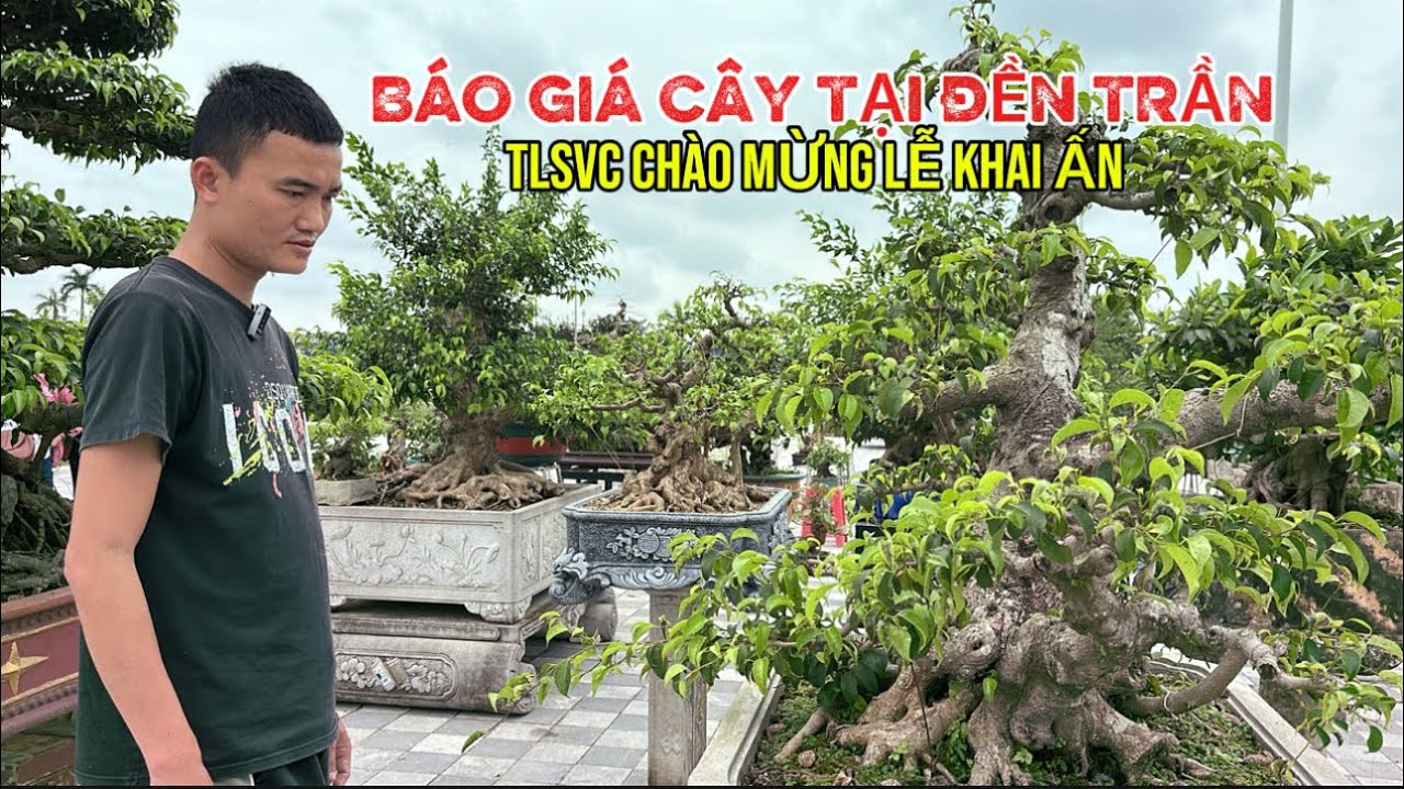 BÁO GIA CÔNG KHAI . Khu thương mại rất vip tại chợ cây | Quang Tùng