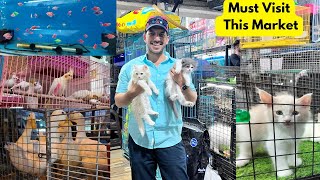 This market in Bhopal has everything from Cats, Rabbits, Ducks, birds &amp; fishes
