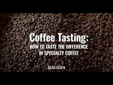 Coffee Tasting: How