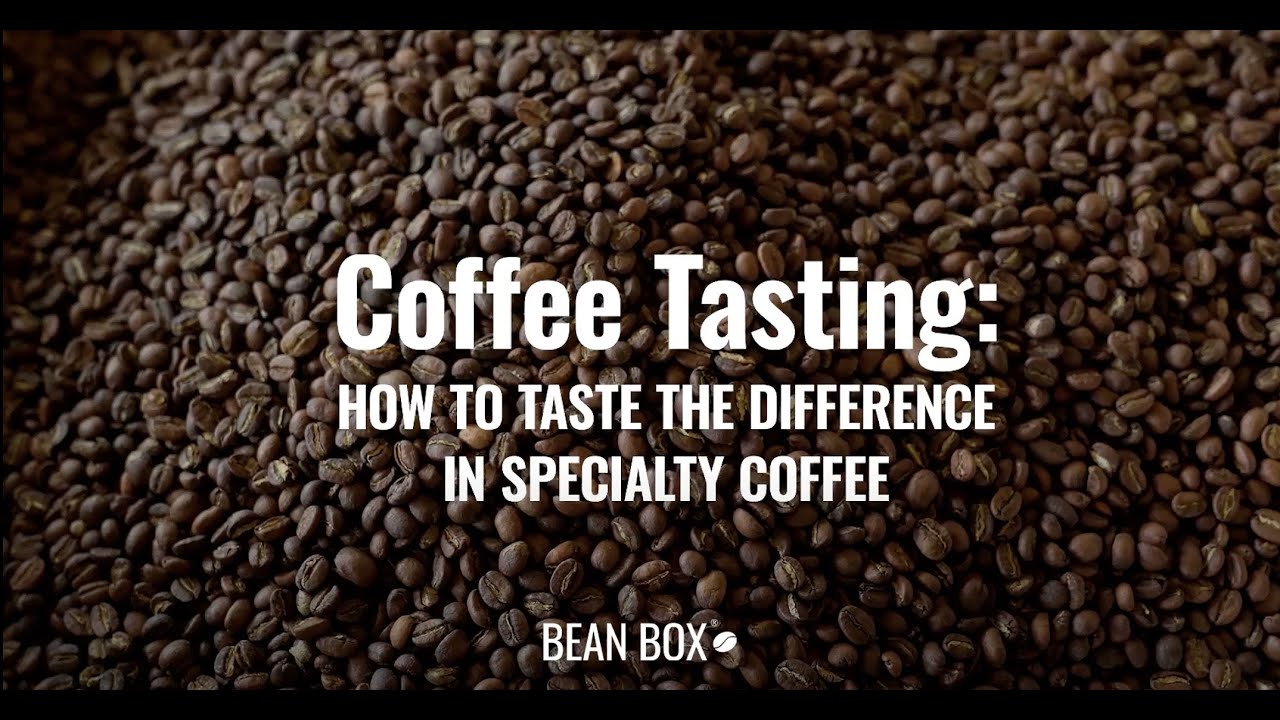 Coffee Tasting How to Taste The Difference in Speciality Coffee Bean