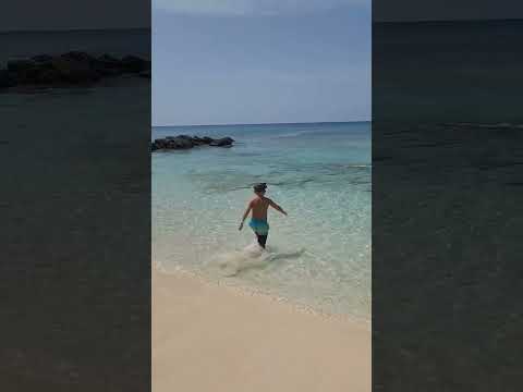 Snorkeling In The Bahamas Reels Kids Fyp Cruise