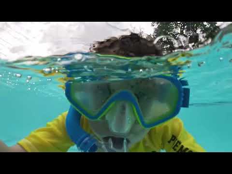 A summer swim