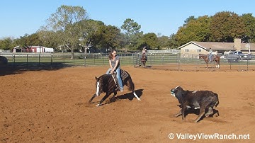 Juan Good Kitty***For info, price, etc., go to our website*** Valley View Ranch