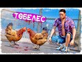 Касой тауығын төбелестірді (GTA V)