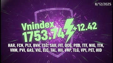 Cổ phiếu nào tích cực hơn Vnindex? | 8/12/2025