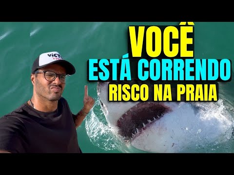 COMPARANDO OS PERIGOS DAS PRAIAS DE RECIFE E MACEIÓ