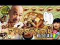 【大人気】アメフクラガエルの飼い方講座【カエル】
