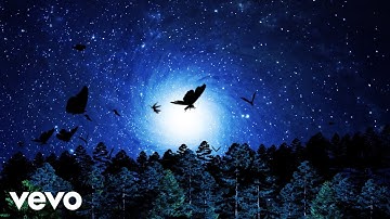 SZA - Open Arms (just SZA) (Lyric Video)