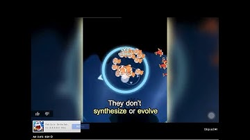 Fish Go.io - Be the fish king Ad #1