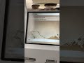 Cara mengambil Uang dari Rek BNI di Atm Seven Eleven Jepang | Tanpa intro