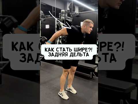 💥ЗАДНЯЯ ДЕЛЬТА -