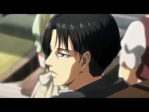 Birthday of Levi