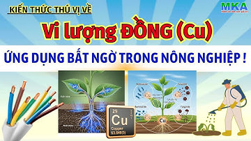 Nông dân cần biết - Hiểu tất tần tật về Đồng - Phần 1: Kiến thức cơ bản mà nông dân cần nhớ