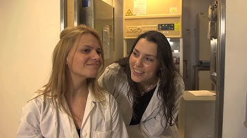 Western Blot imaging with MicroChemi