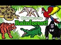 Lets draw rainforest animals together  drawing and coloring with glitter  googly eyes