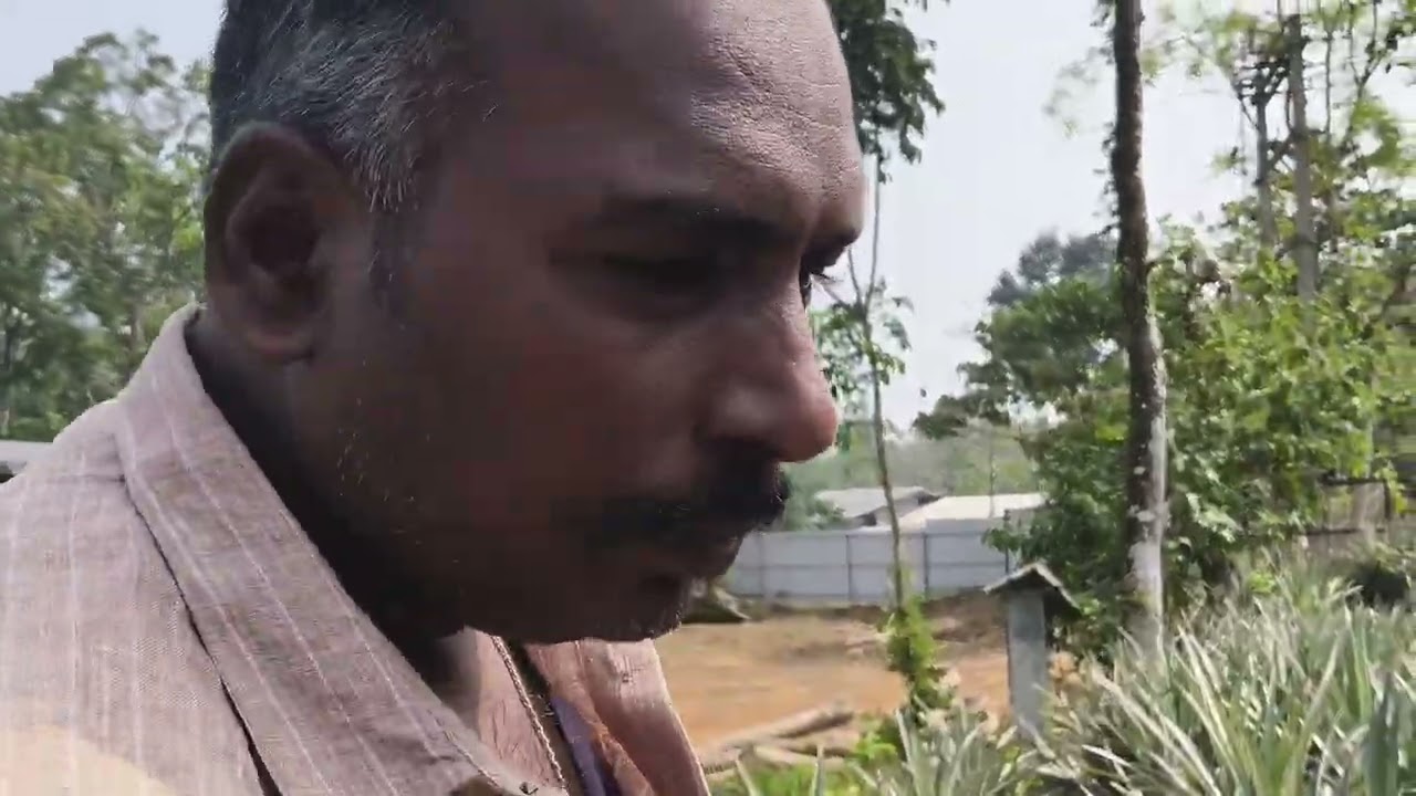 அண்ணாச்சி தோட்டம் | alwin travels 