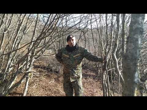 მზვერავის კოცონი ტყეში..#იარაღისგანხილვა