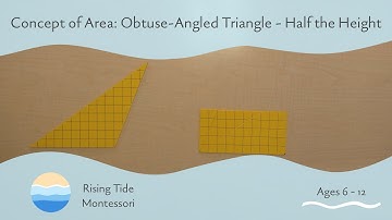 Concept of Area: Obtuse-Angled Triangle - Half the Height