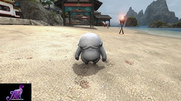 FFXIV: Littlefoot Minion