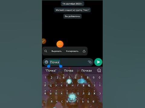 можно копировать почку и продать почку - YouTube