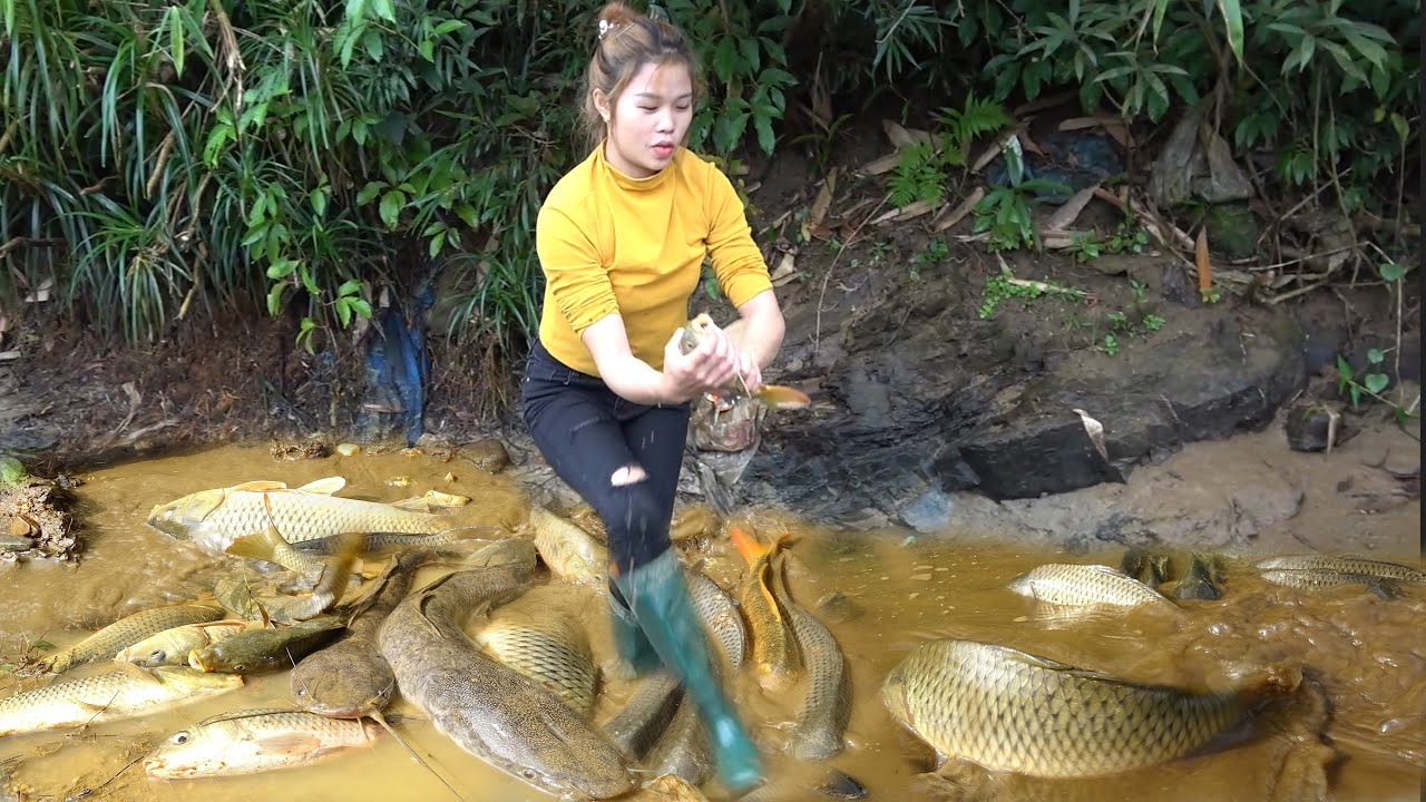Fishing amazing - Pump fishing technology - catch big fish in the lake ...