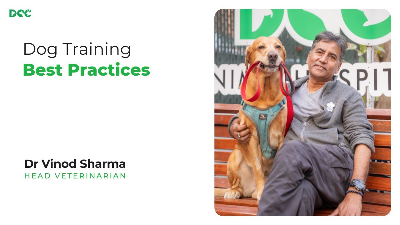 Best Dog Training Practices | Dr Vinod Sharma