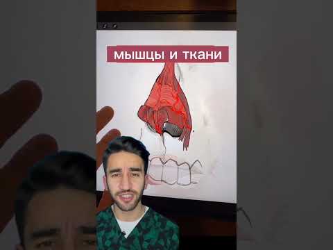 базовые аспекты ринопластики анатомия