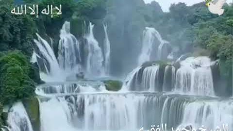 ان الله وملائكته يصلون على النبي/ القارئ محمد الفقيه حفظه الله تعالى